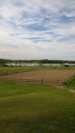 teaselwood stable-ridings