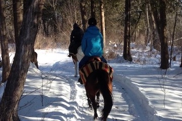 teaselwood stable-trail tracking